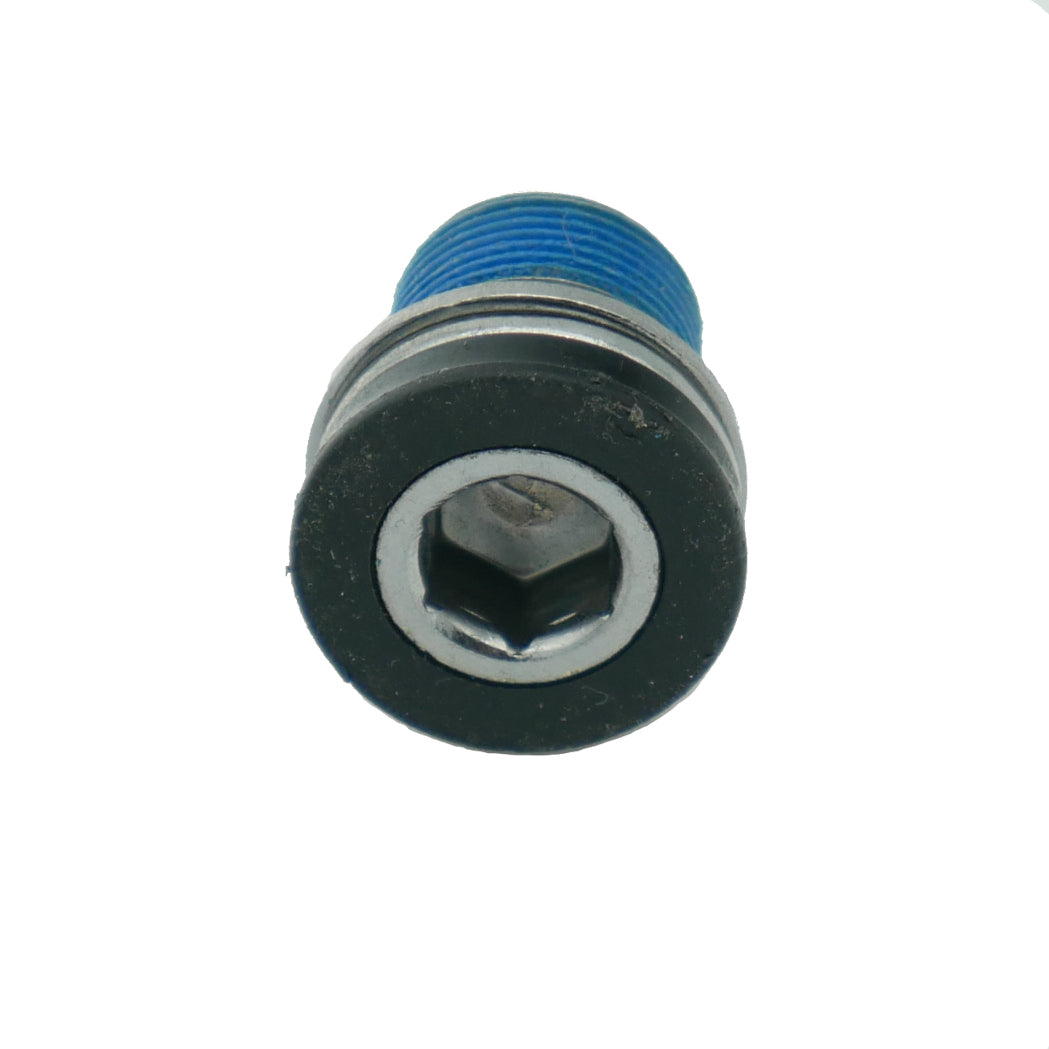 Crank Arm Bolt - ISIS/Ultra