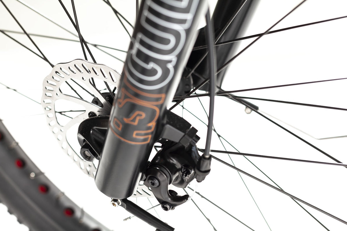 Juggernaut Classic Biktrix eBike