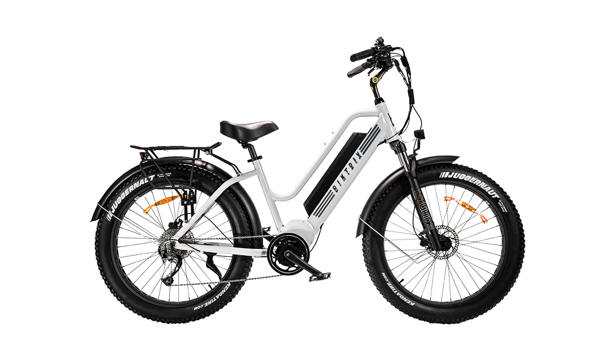 comfortable electric bike