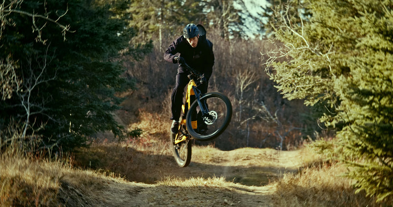 Best Heavy Duty eBikes