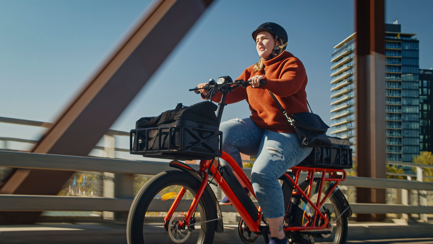 Cargo Electric Bikes