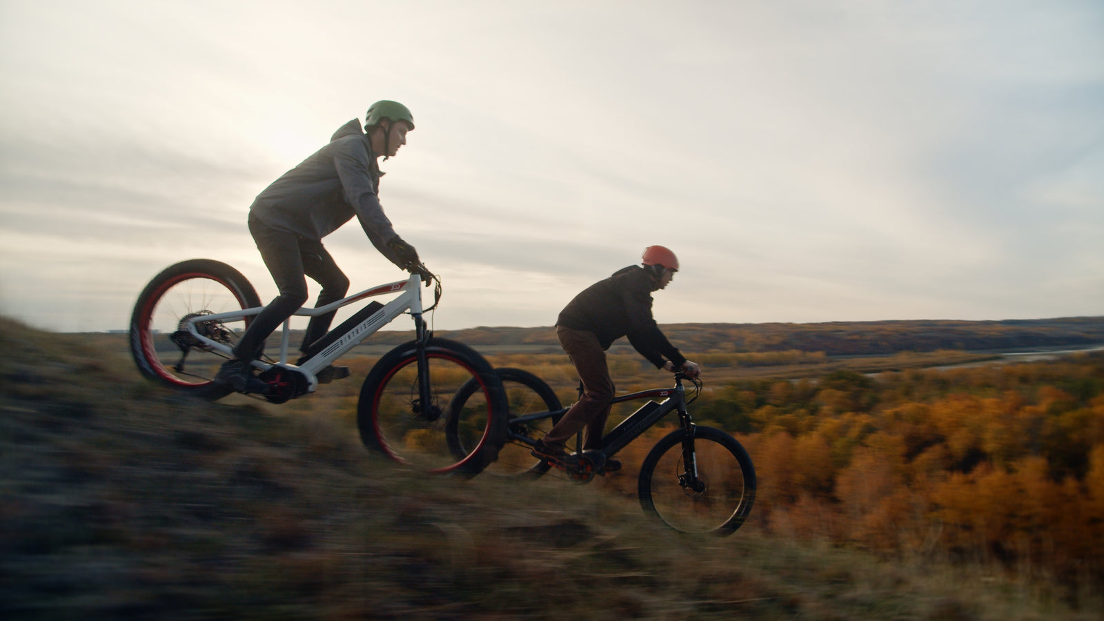 XD Electric Bikes