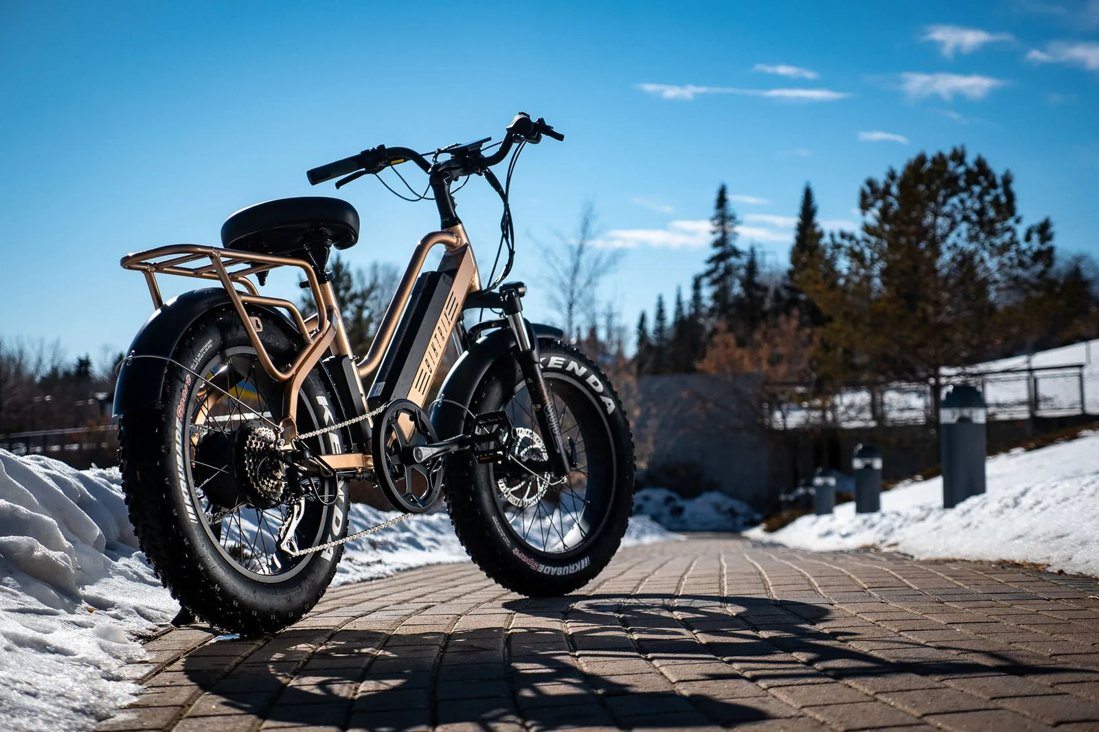 Carbon Electric Fat Bikes