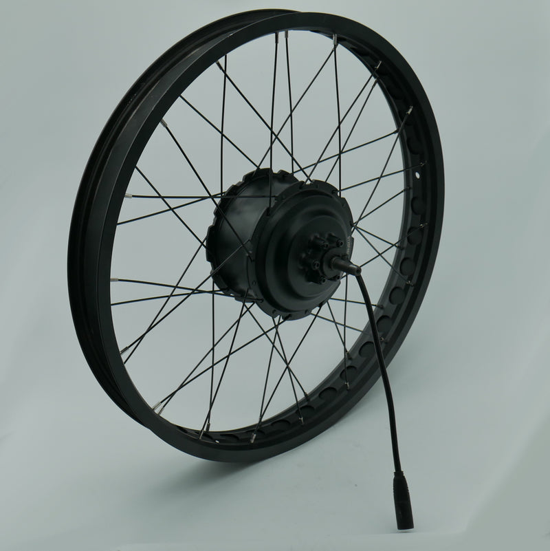 LAX 48V 750W Hub Motor in 24" Wheel