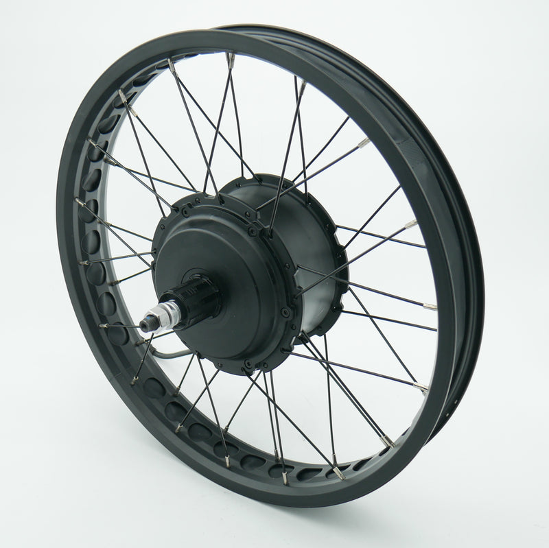 Shengyi 52V 750W Hub Motor in 20" Wheel