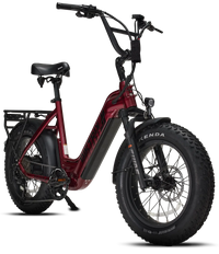 Juggernaut Hub Duo Step-Thru Small 2