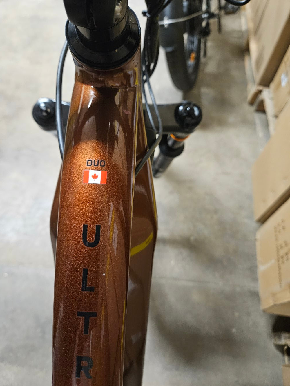 Bronze Juggernaut Ultra FS Pro 1 Large 27.5x3