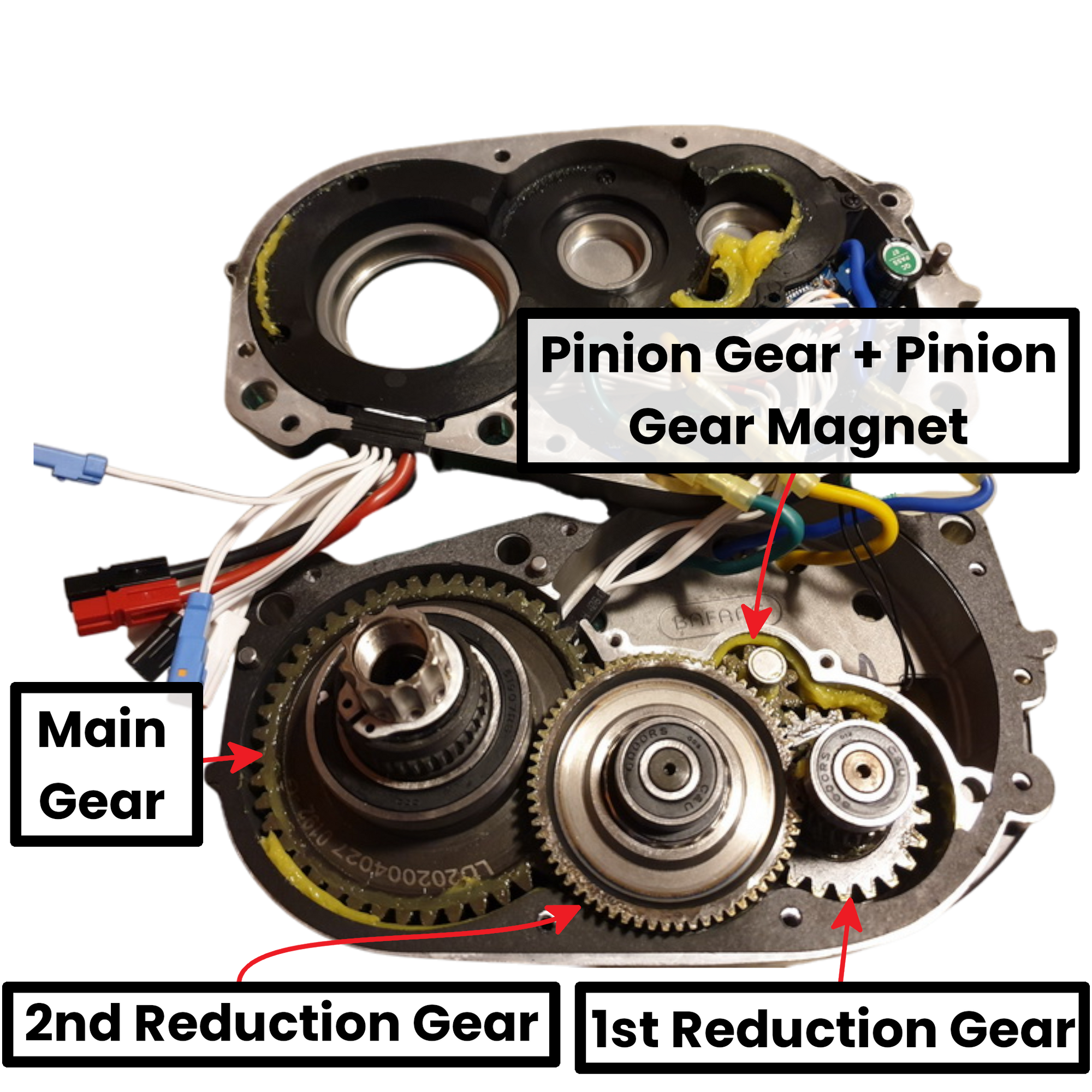 Ultra Motor Pinion Gear Magnet