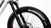 biktrix fork
