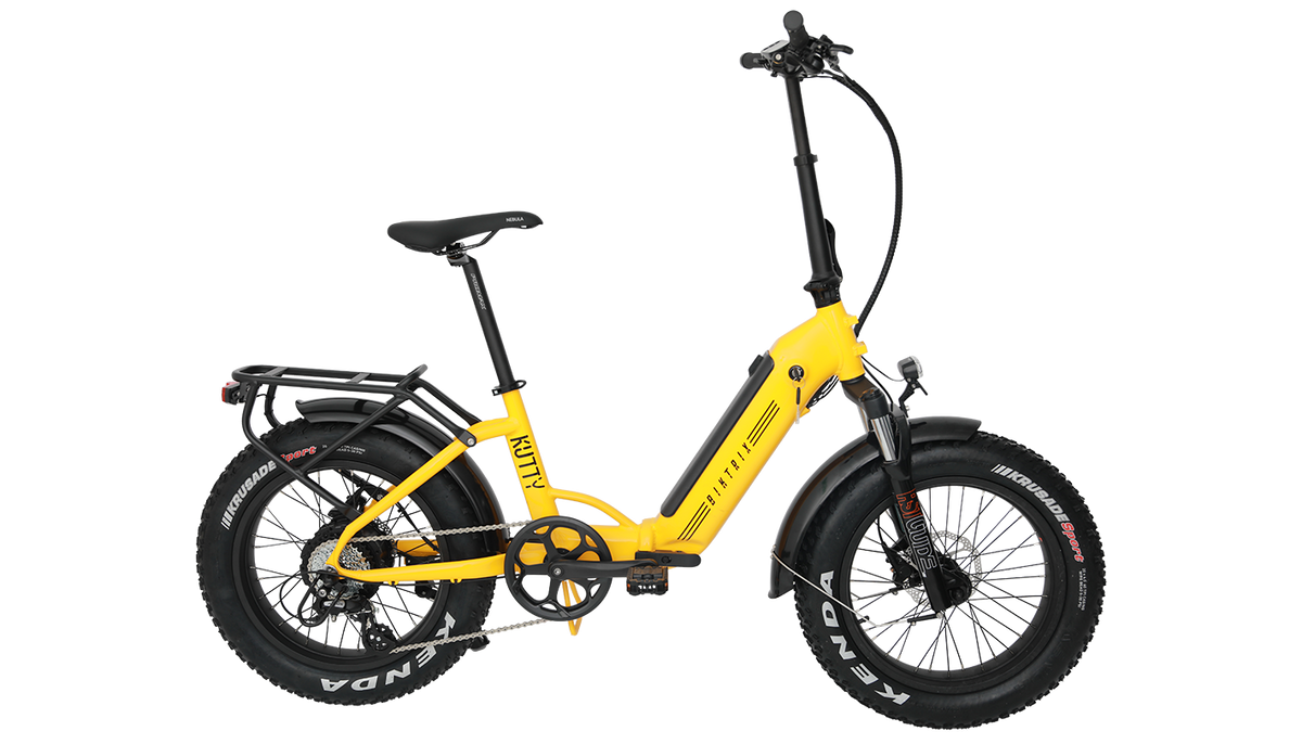 biktrix kutty x