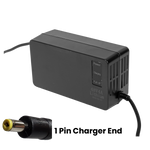 Electric Bike Replacement Charger