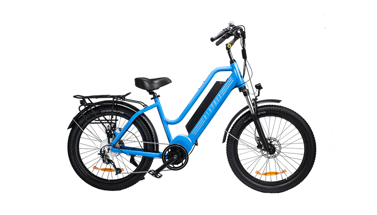 biktrix stunner x 24 inch