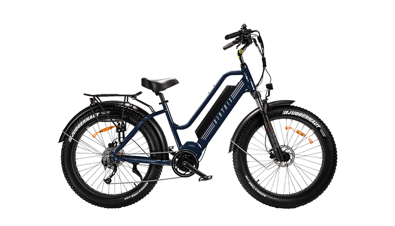 which electric bike is best for you