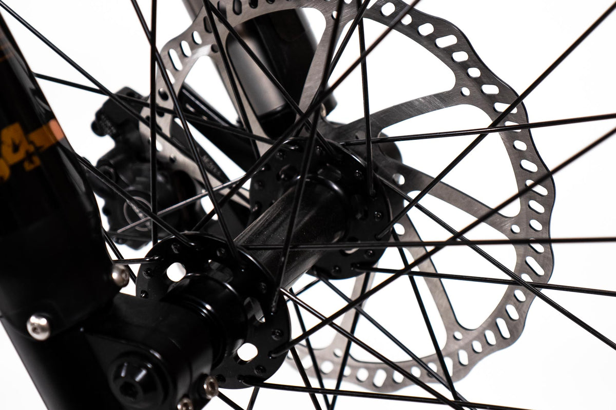 ebike disc brake