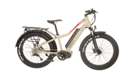 bike with bafang ultra motor
